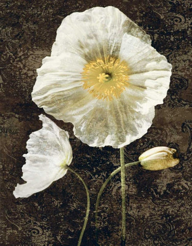 Poppies II Black Ornate Wood Framed Art Print with Double Matting by Seba, John