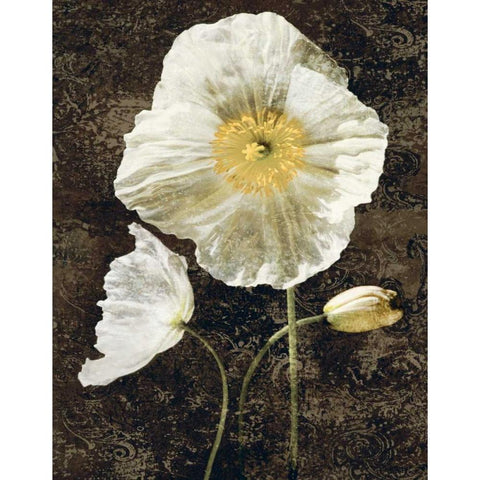 Poppies II Gold Ornate Wood Framed Art Print with Double Matting by Seba, John
