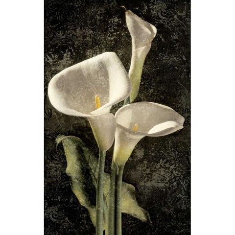 Callas I Gold Ornate Wood Framed Art Print with Double Matting by Seba, John