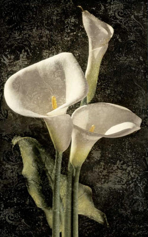 Callas I Black Ornate Wood Framed Art Print with Double Matting by Seba, John