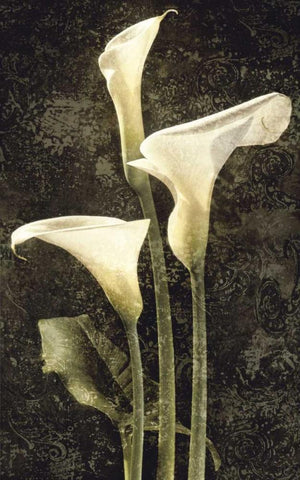 Callas II White Modern Wood Framed Art Print with Double Matting by Seba, John