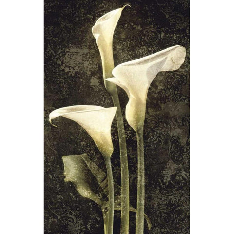 Callas II Gold Ornate Wood Framed Art Print with Double Matting by Seba, John