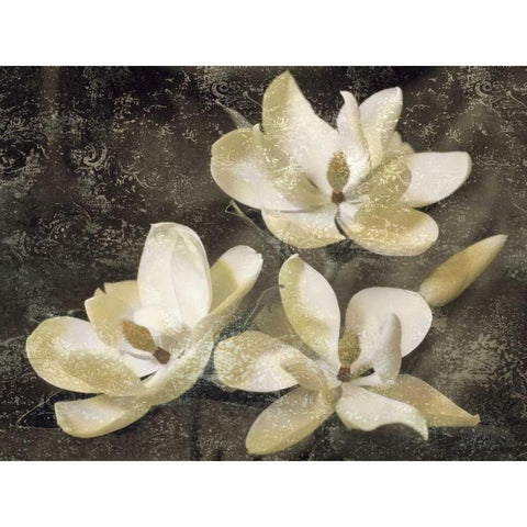 The Magnolia Tree Gold Ornate Wood Framed Art Print with Double Matting by Seba, John
