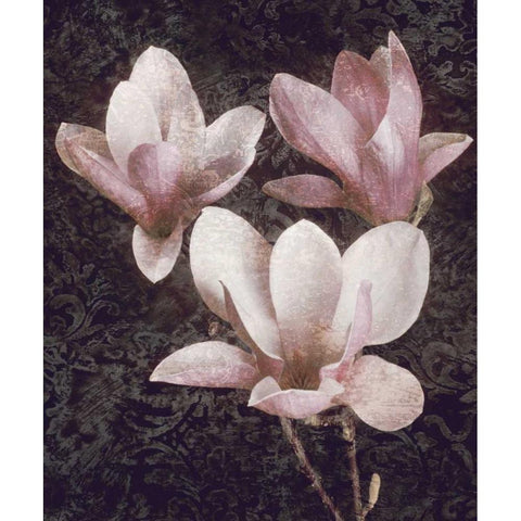Pink Magnolias II Gold Ornate Wood Framed Art Print with Double Matting by Seba, John