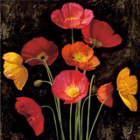 Poppy Bouquet I Gold Ornate Wood Framed Art Print with Double Matting by Seba, John