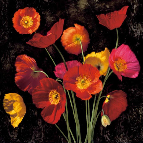 Poppy Bouquet II Gold Ornate Wood Framed Art Print with Double Matting by Seba, John