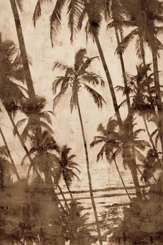 Trade Winds I Black Ornate Wood Framed Art Print with Double Matting by Seba, John
