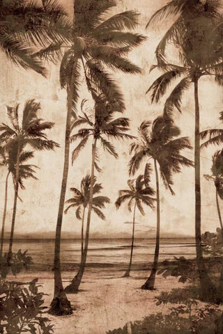 Trade Winds II Black Ornate Wood Framed Art Print with Double Matting by Seba, John