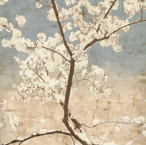 Cherry Blossoms I White Modern Wood Framed Art Print with Double Matting by Seba, John