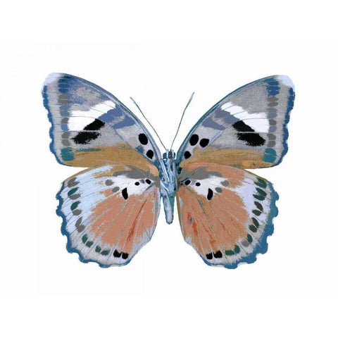 Butterfly in Pink II Gold Ornate Wood Framed Art Print with Double Matting by Bosco, Julia