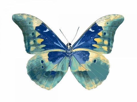 Butterfly in Aqua I White Modern Wood Framed Art Print with Double Matting by Bosco, Julia