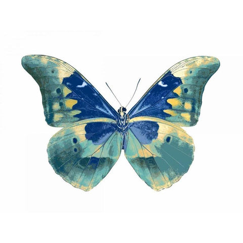 Butterfly in Aqua I Gold Ornate Wood Framed Art Print with Double Matting by Bosco, Julia