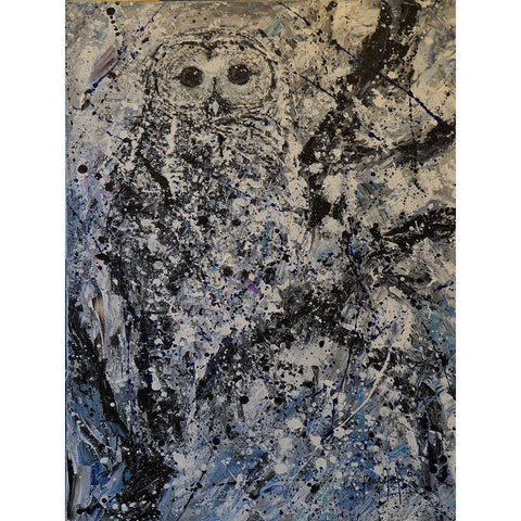Owl I Black Modern Wood Framed Art Print with Double Matting by Foster, Joseph Marshal