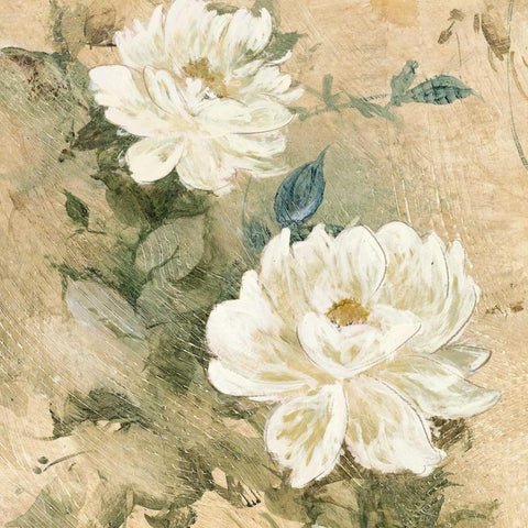 White Flowers I White Modern Wood Framed Art Print by Wilcox, Jil
