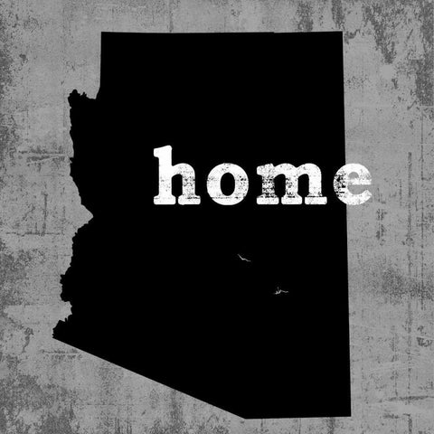 Arizona  Black Modern Wood Framed Art Print with Double Matting by Wilson, Luke