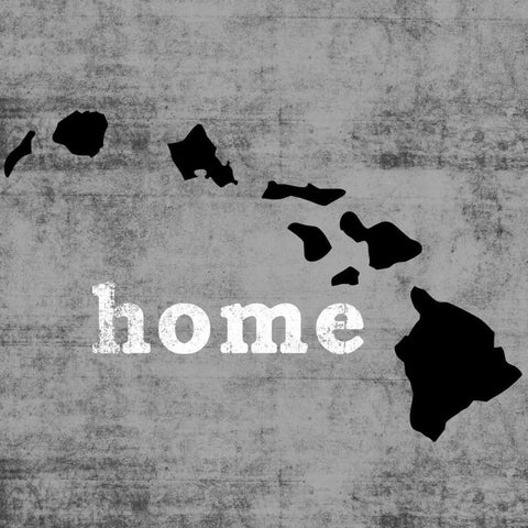 Hawaii  Black Modern Wood Framed Art Print with Double Matting by Wilson, Luke