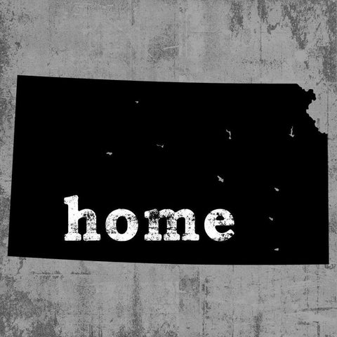 Kansas  Black Modern Wood Framed Art Print with Double Matting by Wilson, Luke