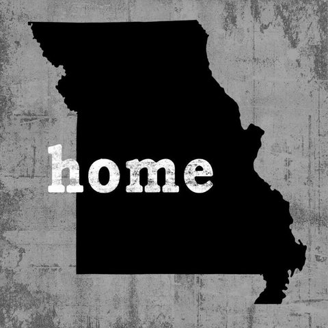 Missouri  Black Modern Wood Framed Art Print with Double Matting by Wilson, Luke