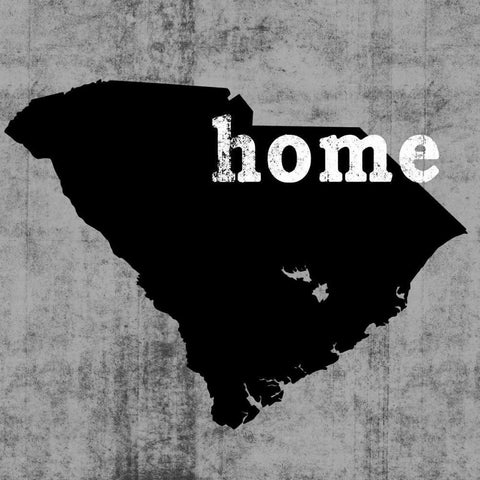 South Carolina  Black Modern Wood Framed Art Print with Double Matting by Wilson, Luke