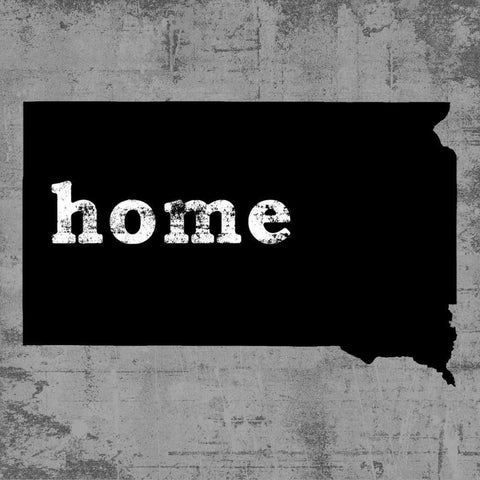 South Dakota  Black Modern Wood Framed Art Print with Double Matting by Wilson, Luke