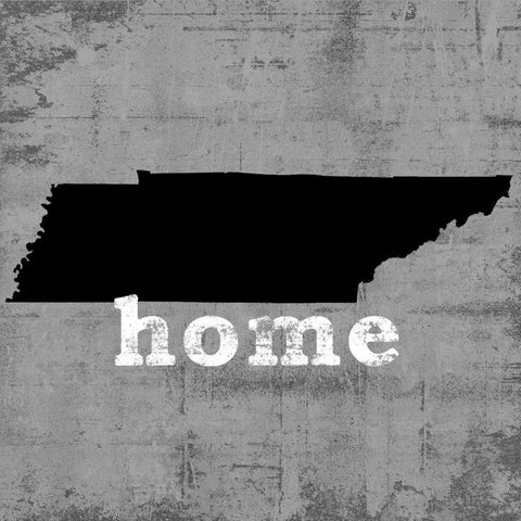 Tennessee  Black Modern Wood Framed Art Print with Double Matting by Wilson, Luke