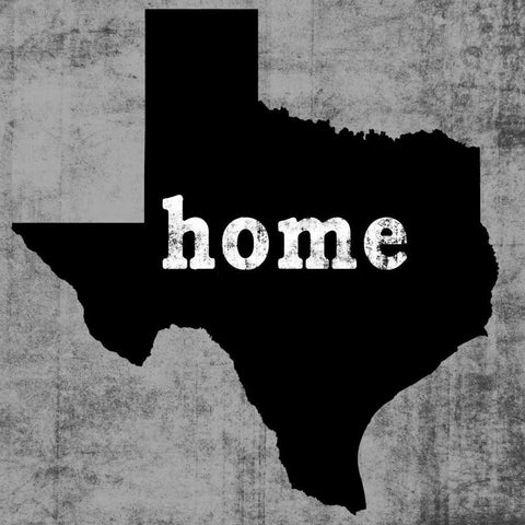 Texas  Black Modern Wood Framed Art Print with Double Matting by Wilson, Luke