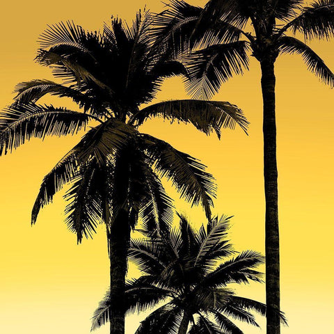 Palms Black on Yellow I White Modern Wood Framed Art Print with Double Matting by Jensen, Mia
