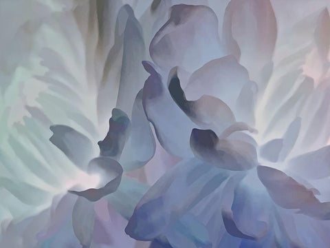 Chrysanthemum VI Black Ornate Wood Framed Art Print with Double Matting by Pollard, David