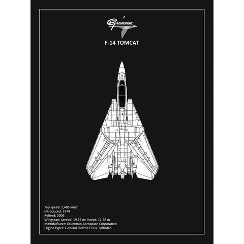 BP F-14-Tomcat Black  Black Modern Wood Framed Art Print with Double Matting by Rogan, Mark
