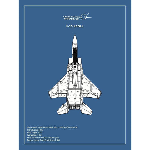BP F15 Eagle  White Modern Wood Framed Art Print by Rogan, Mark