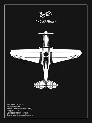 BP P-40 Warhawk Black  White Modern Wood Framed Art Print with Double Matting by Rogan, Mark