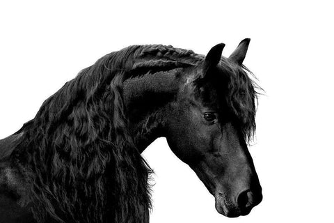 Classic Black I Black Ornate Wood Framed Art Print with Double Matting by Carter, Samantha