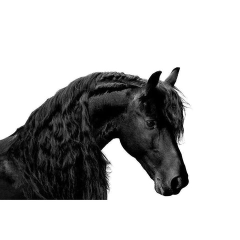 Classic Black I White Modern Wood Framed Art Print by Carter, Samantha