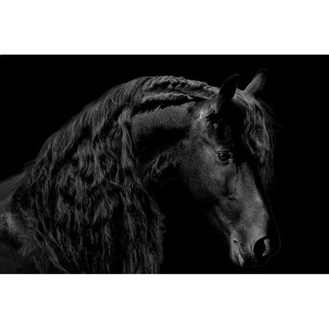 Classic Black II Black Modern Wood Framed Art Print by Carter, Samantha