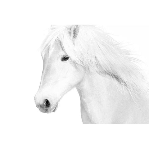 Classic White White Modern Wood Framed Art Print by Carter, Samantha