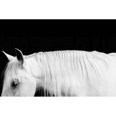 White on Black I White Modern Wood Framed Art Print by Carter, Samantha