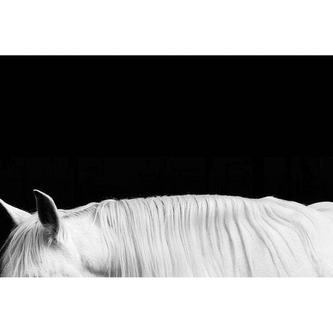 White on Black II Gold Ornate Wood Framed Art Print with Double Matting by Carter, Samantha