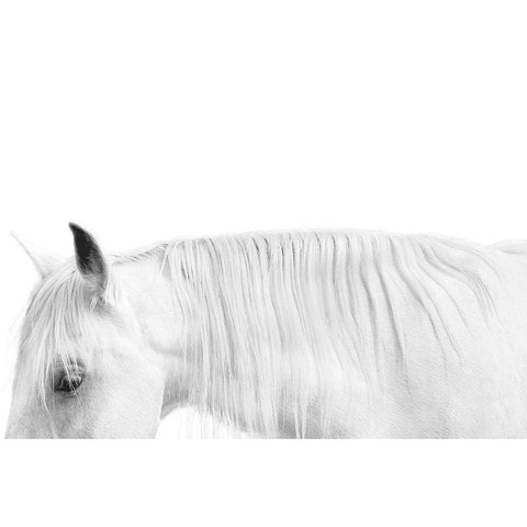 White on White White Modern Wood Framed Art Print by Carter, Samantha