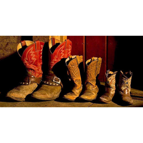 Family of Boots White Modern Wood Framed Art Print by Dawson, Robert