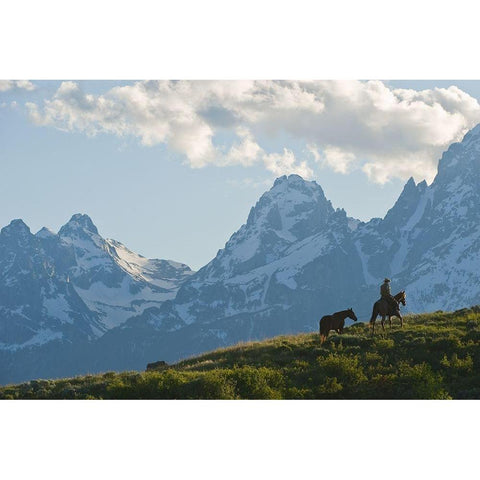 Into the Tetons White Modern Wood Framed Art Print by Dawson, Robert