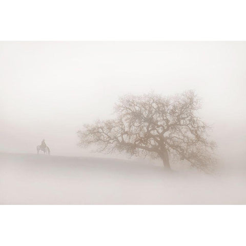 Lonely Days White Modern Wood Framed Art Print by Dawson, Robert