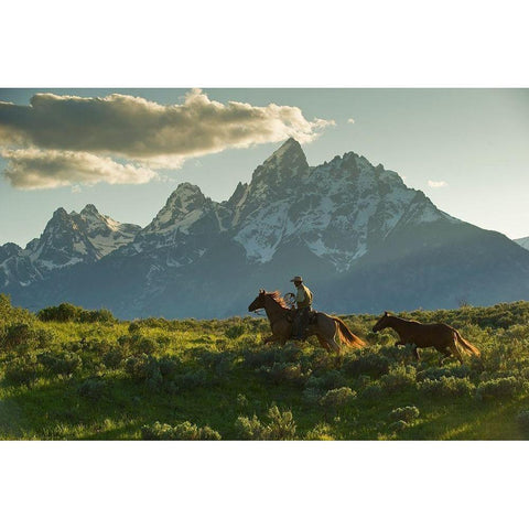 Along the Teton Trail White Modern Wood Framed Art Print by Dawson, Robert