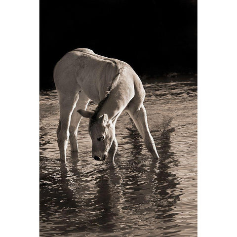 Cool Water White Modern Wood Framed Art Print by Dawson, Robert
