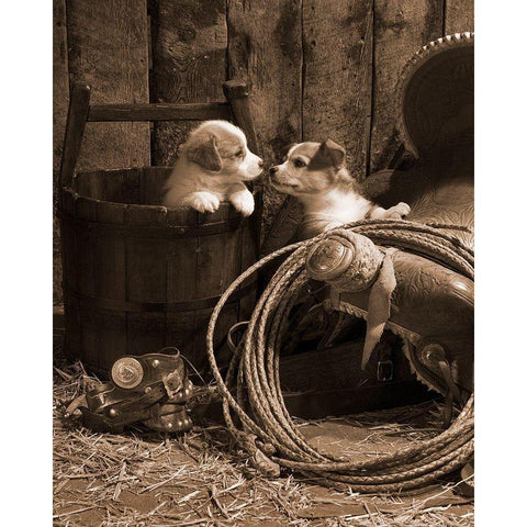 How Bout A Kiss White Modern Wood Framed Art Print by Dawson, Robert
