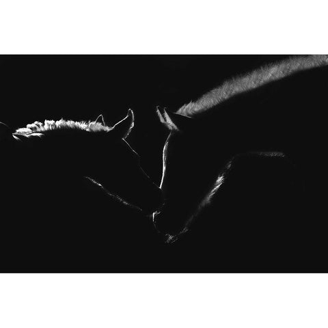 Moonlight Kiss Black Modern Wood Framed Art Print by Dawson, Robert
