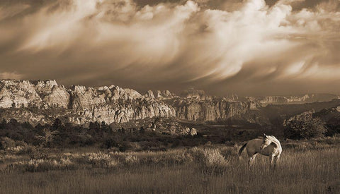 On the Utah Plains Black Ornate Wood Framed Art Print with Double Matting by Dawson, Robert