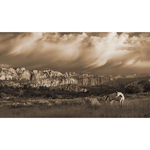 On the Utah Plains Black Modern Wood Framed Art Print by Dawson, Robert