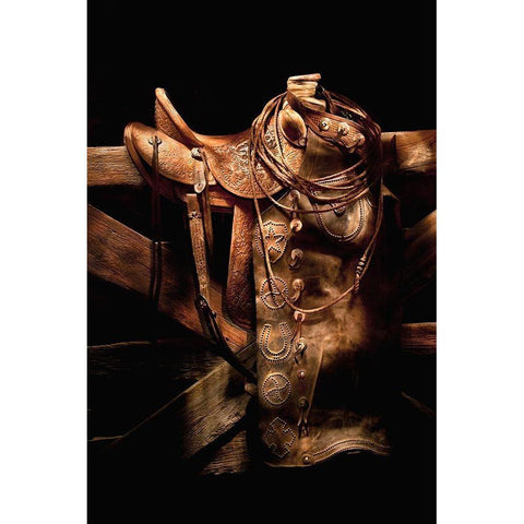 Ranch Gear Black Modern Wood Framed Art Print by Dawson, Robert