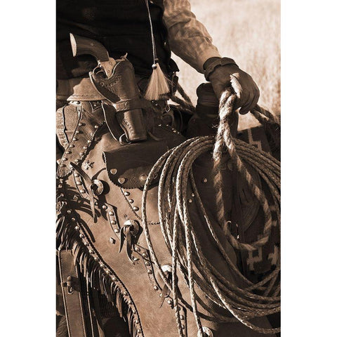 Range Rider III White Modern Wood Framed Art Print by Dawson, Robert