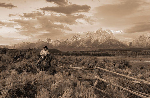 Ridin Fences I sepia White Modern Wood Framed Art Print with Double Matting by Dawson, Robert